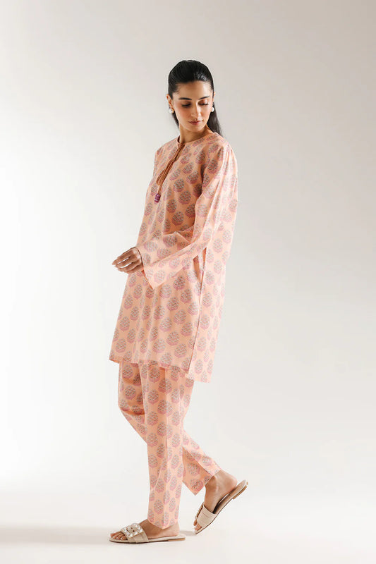PRINTED SUIT 2Pc SUIT READY MADE | ETHNC